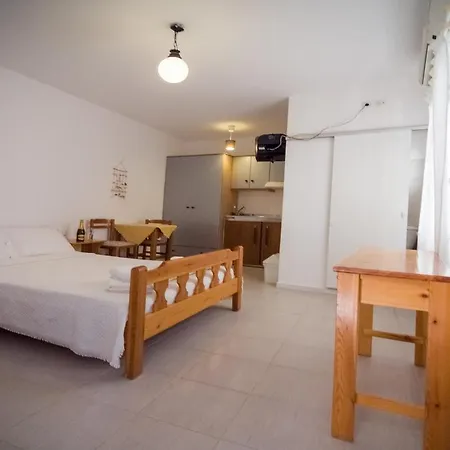 公寓 纳克索斯一室公寓酒店 *