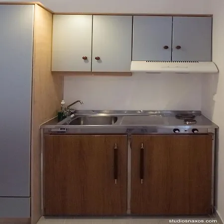 纳克索斯一室公寓酒店 *